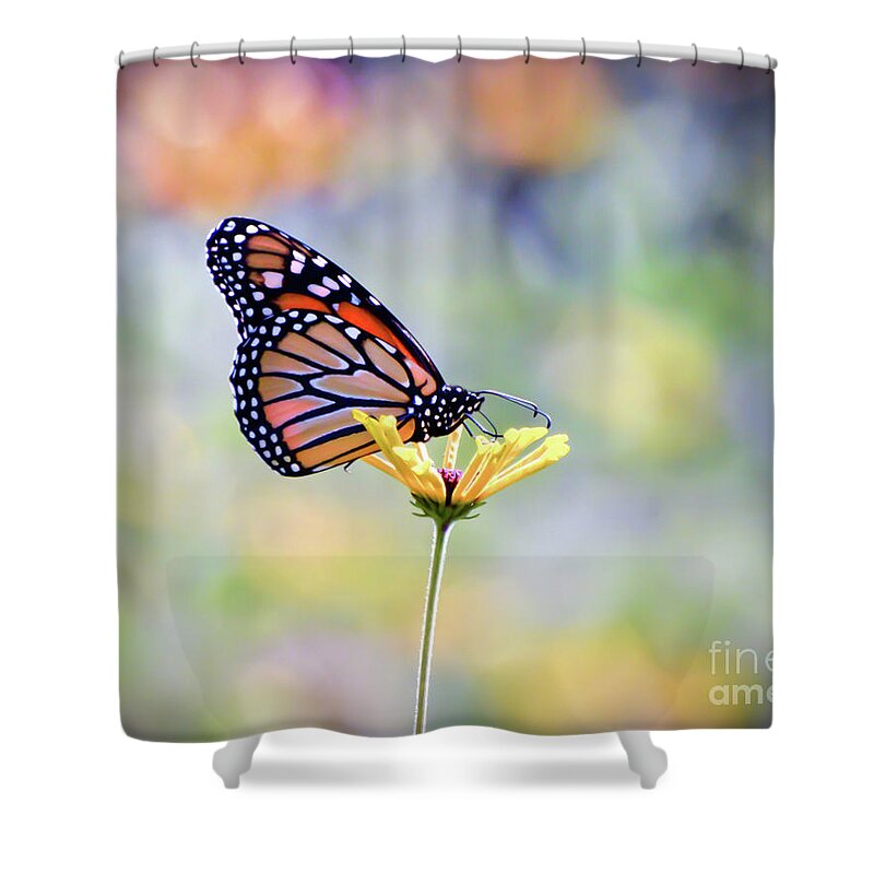 Monarch Butterfly Shower Curtain featuring the photograph Monarch Butterfly - In The Garden by Kerri Farley