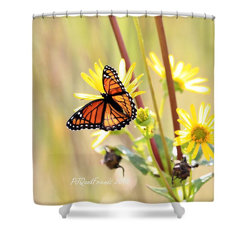 Monarch Butterfly On Yellow Shower Curtain featuring the photograph Monarch Butterfly on Yellow by PJQandFriends Photography