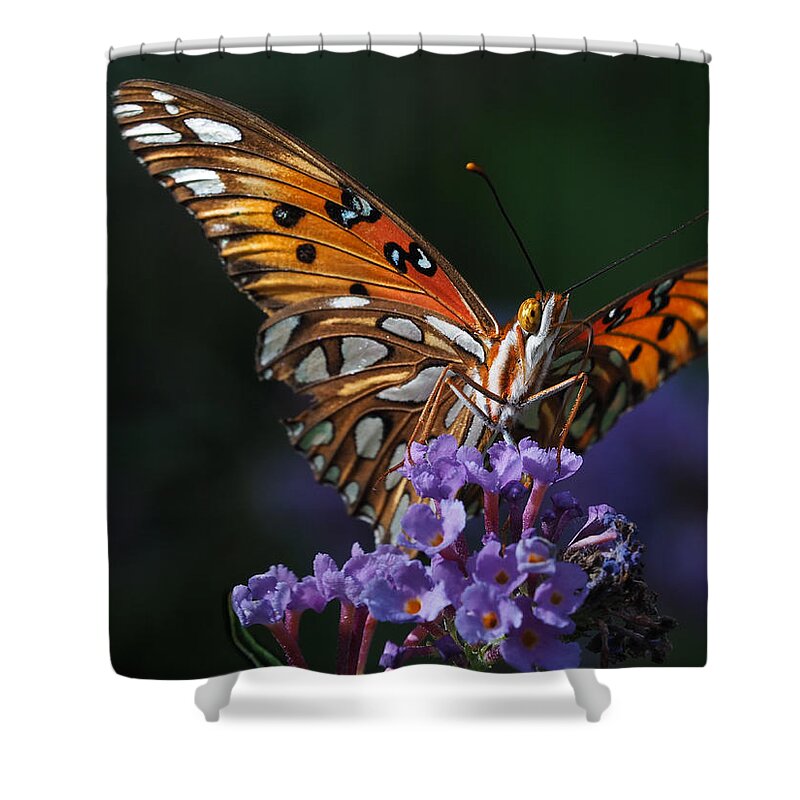 Monarch Front View Shower Curtain featuring the photograph Monarch by Paula Ponath