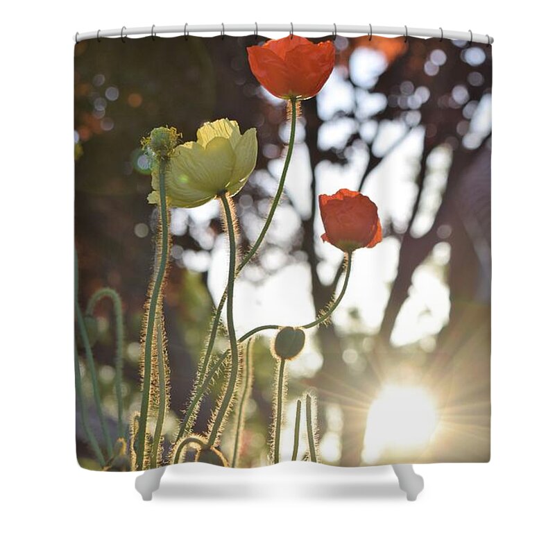 Sunrise Shower Curtain featuring the photograph Monday Morning Sunrise by John Glass