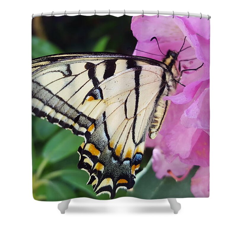 Butterfly Shower Curtain featuring the photograph Tuesday One by Dani McEvoy