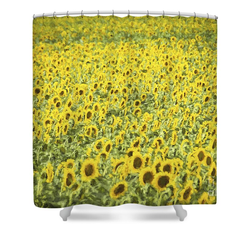 Sunflower Shower Curtain featuring the photograph Monet Sunflower Field by Janice Pariza