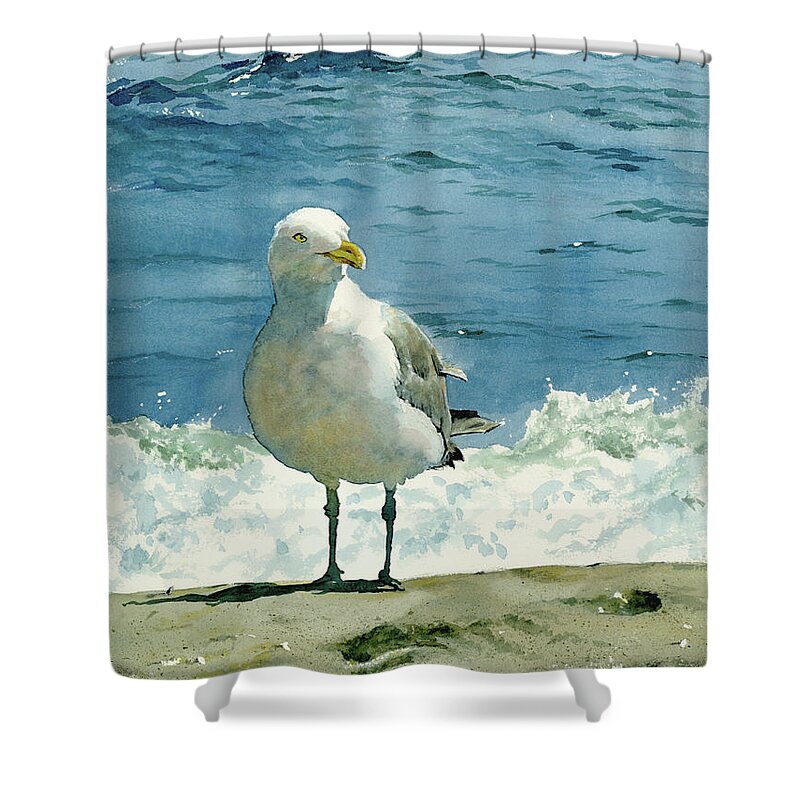#faatoppicks Shower Curtain featuring the painting Montauk Gull by Tom Hedderich