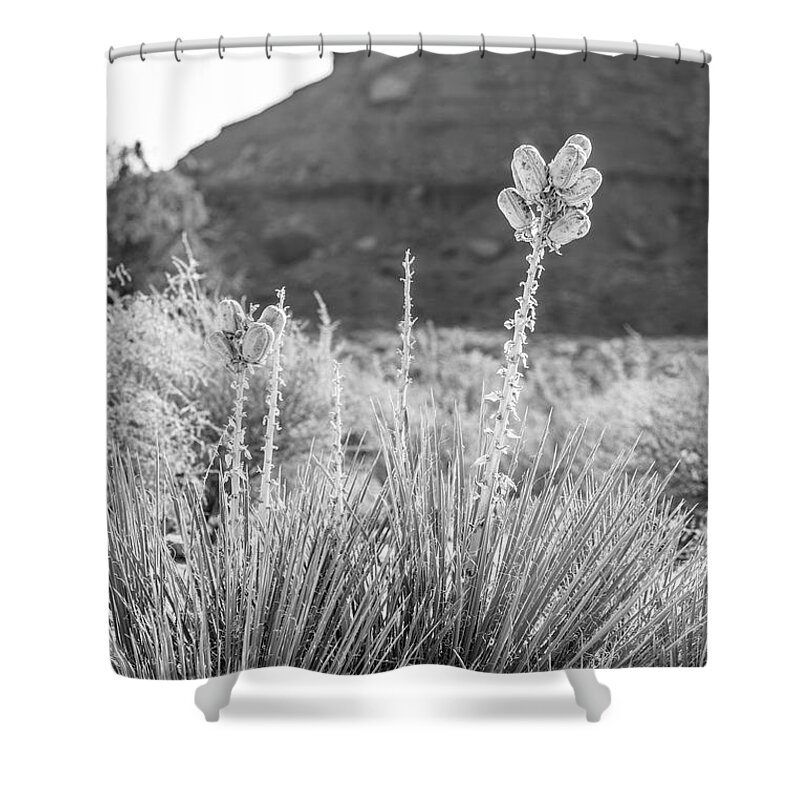 American Landscape Shower Curtain featuring the photograph Monument Valley Bud by John McGraw