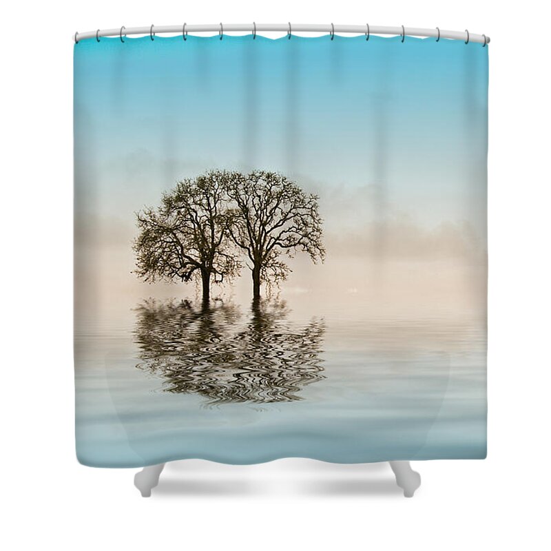 Trees Shower Curtain featuring the photograph Moody Trees by Jean Noren