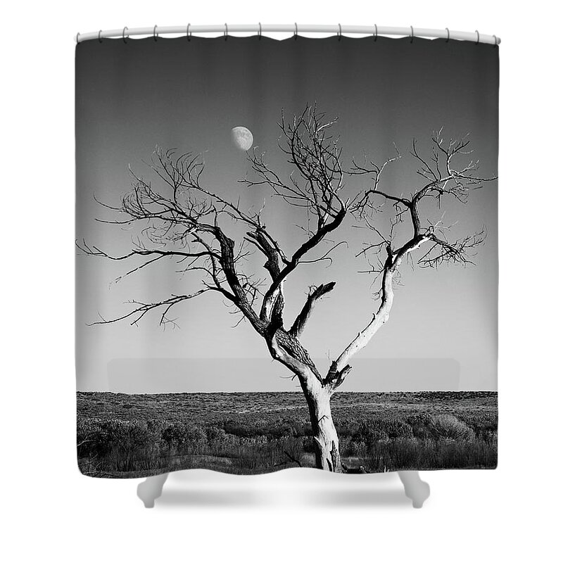 Landscapes Shower Curtain featuring the photograph Moon and Memory at Bosque del Apache N M by Mary Lee Dereske