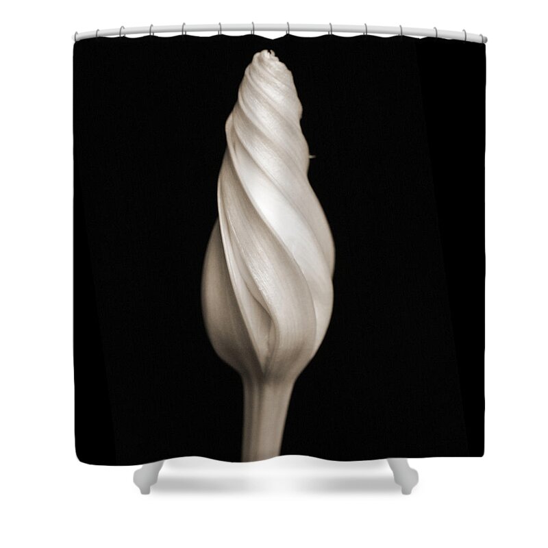 Flowers Shower Curtain featuring the photograph Moon Flower 1 by Norah Holsten