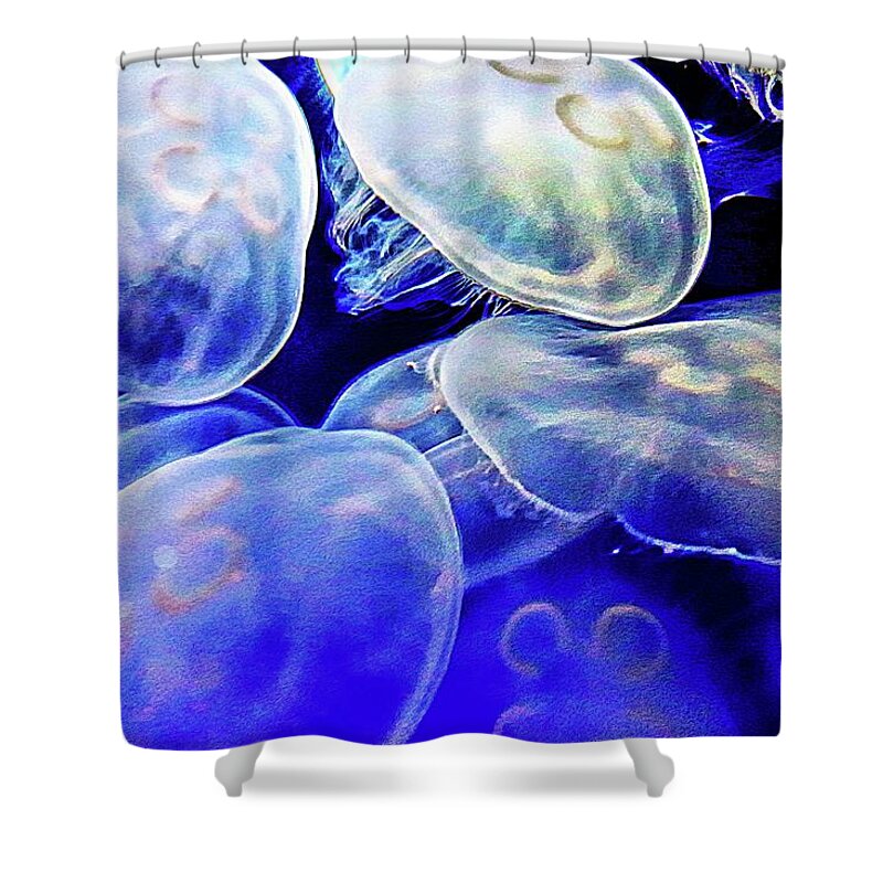Jelly Fish Shower Curtain featuring the photograph Moon Jellies by Stoney Lawrentz