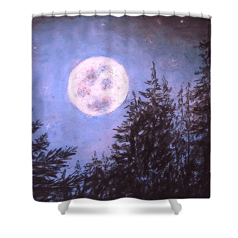 Sparkling Moon Shower Curtain featuring the drawing Moon Sight by Jen Shearer