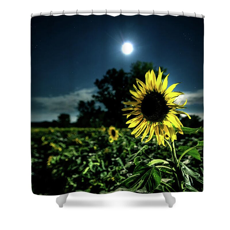 Sunflower Shower Curtain featuring the photograph Moonlighting Sunflower by Everet Regal