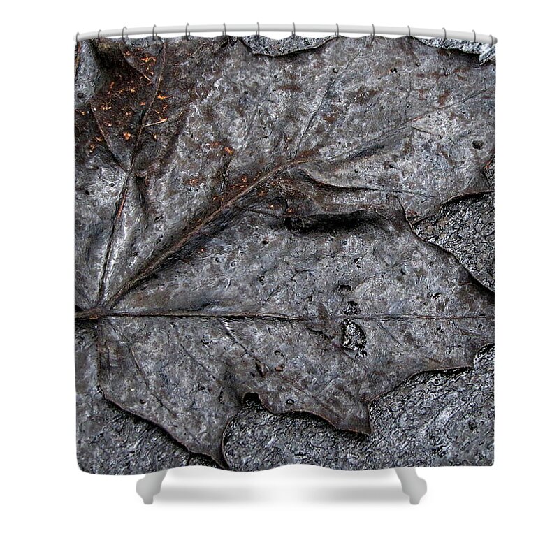 Leaf Shower Curtain featuring the photograph More Consequence than Substance by Char Szabo-Perricelli