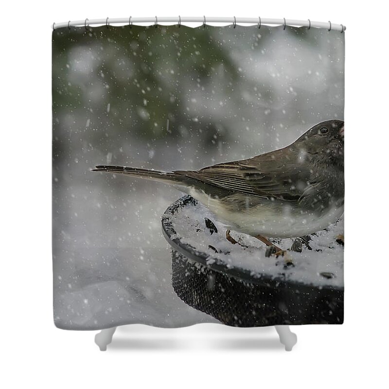 Bird Shower Curtain featuring the photograph More Snow? by Cathy Kovarik