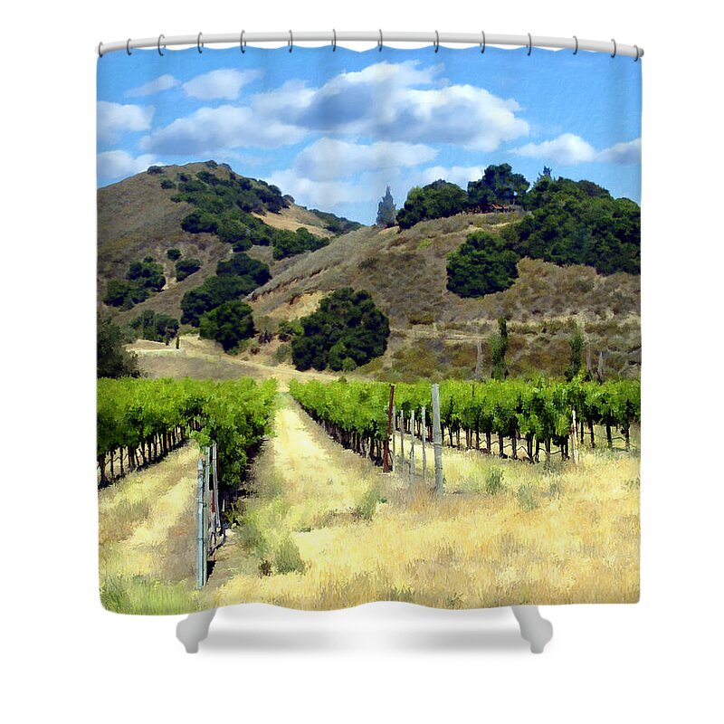 Vineyards Shower Curtain featuring the photograph Morning at Mosby Vineyards by Kurt Van Wagner