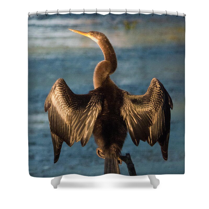Oecinus Fotograffy Shower Curtain featuring the photograph Morning Coffee With A Friend by Kimo Fernandez