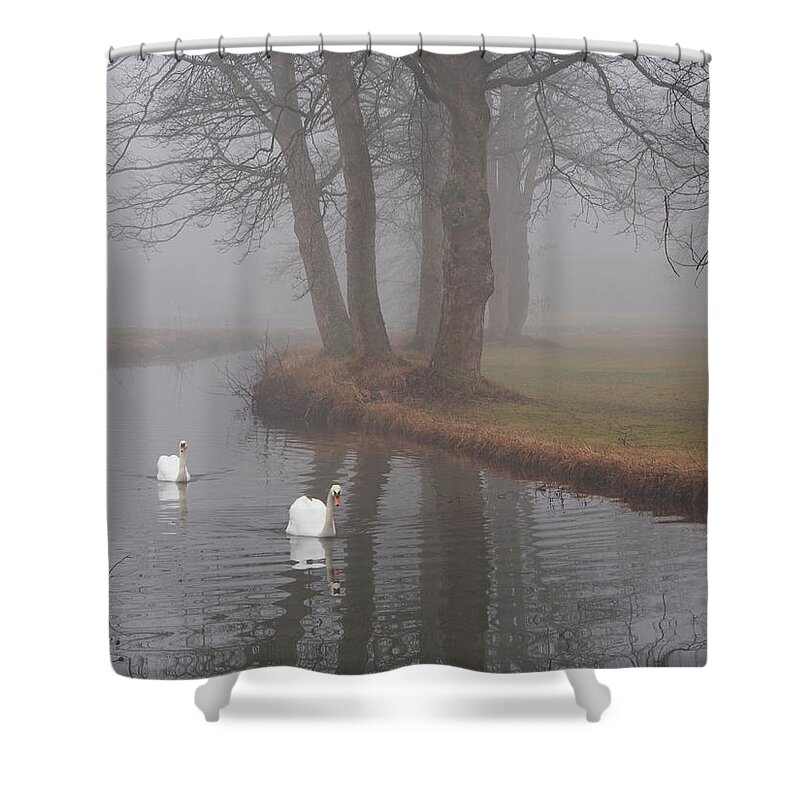 Swan Shower Curtain featuring the photograph Morning Cruise by Jessica Myscofski