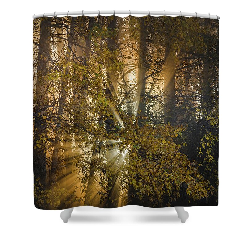 God Rays Shower Curtain featuring the photograph Morning Day Break by Scott Slone