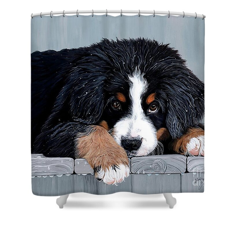 Bernese Mountain Dog Enjoying The Morning Dew On The Deck. Shower Curtain featuring the painting Morning Dew - Bernese Mountain Dog by Liane Weyers