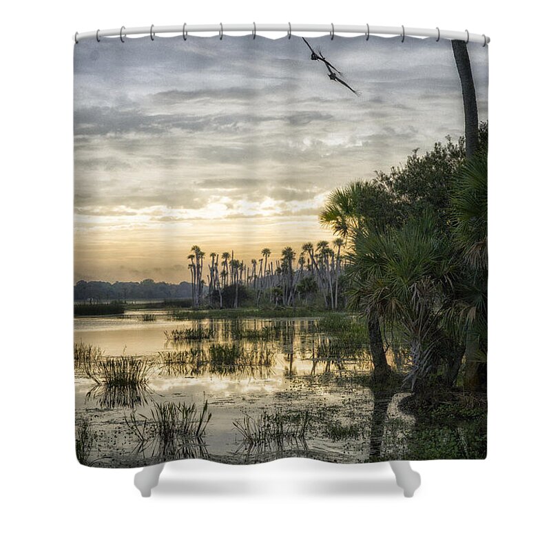 Crystal Yingling Shower Curtain featuring the photograph Morning Fly-by by Ghostwinds Photography