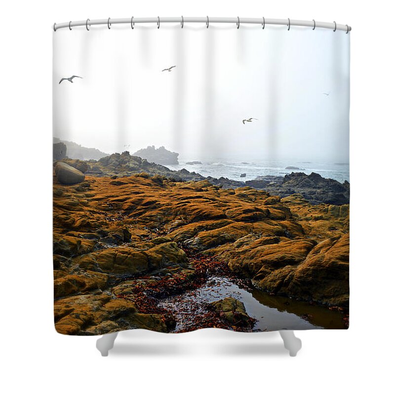 Cambria Shower Curtain featuring the photograph Morning Fog At Moonstone Beach - Cambria by Glenn McCarthy Art and Photography