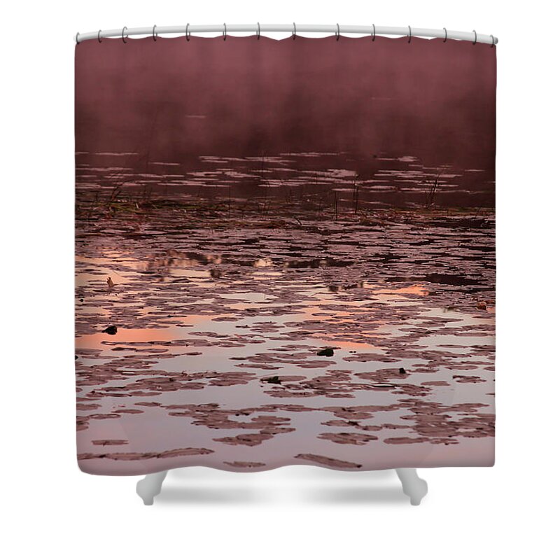 Bonnie Follett Shower Curtain featuring the photograph Morning Fog in the Lily Patch in Mauve by Bonnie Follett