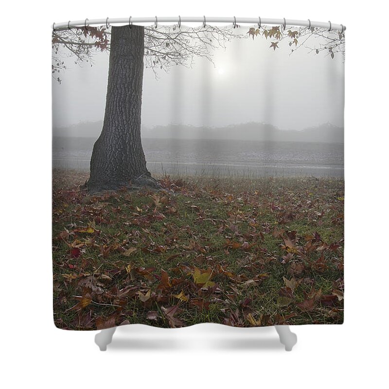 Central Valley Shower Curtain featuring the photograph Morning Fog by Jim And Emily Bush