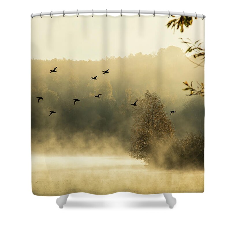Haley Pond Shower Curtain featuring the photograph Morning fog on Haley Pond in Rangeley Maine by Jeff Folger