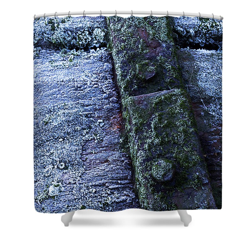 Frost Shower Curtain featuring the photograph Morning Frost on Wood by Leah Palmer