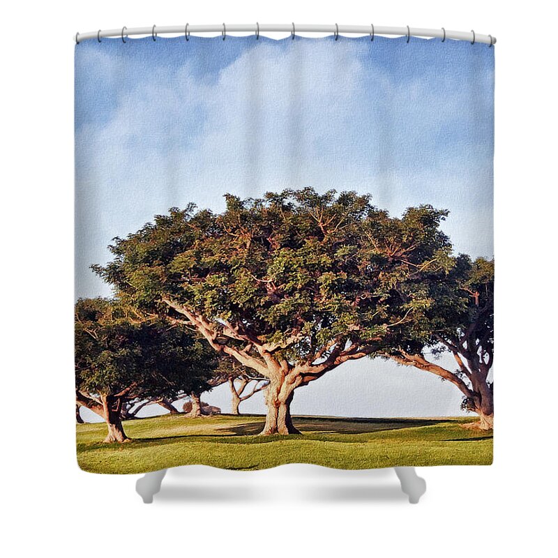 Trees Shower Curtain featuring the photograph Morning Glory PntB by Theo O'Connor