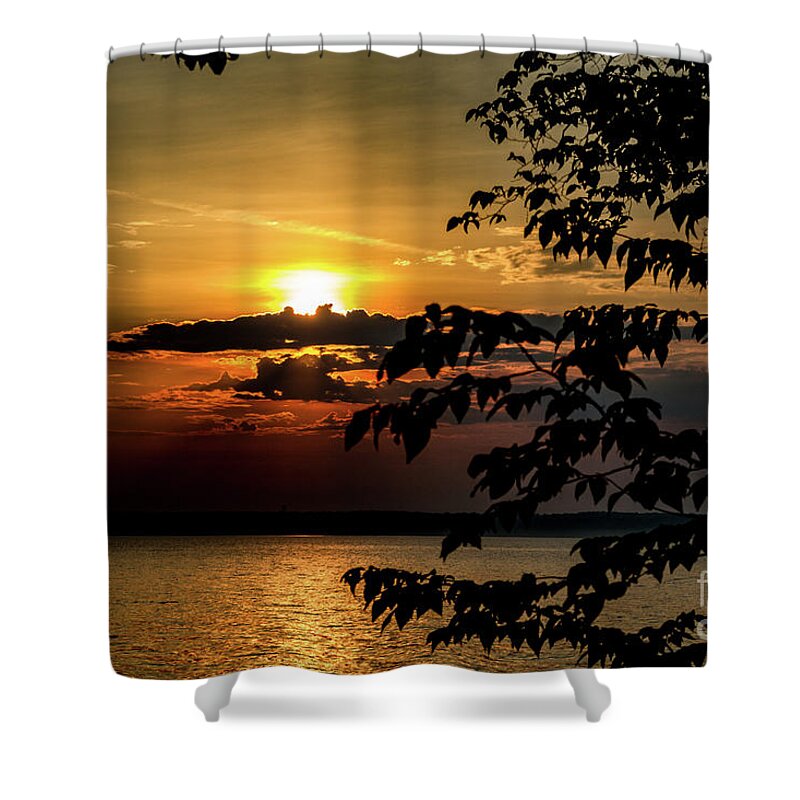 Sunrise Shower Curtain featuring the photograph Morning Glory by William Norton