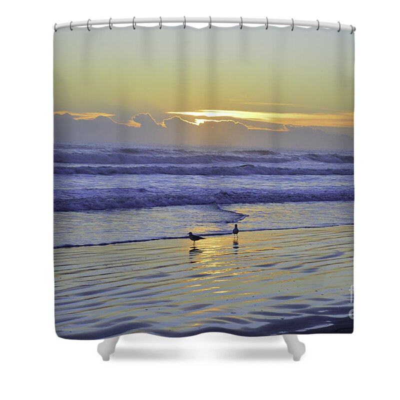 Art Shower Curtain featuring the photograph Morning Glow by Julianne Felton