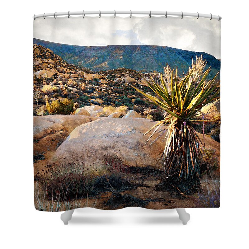 Desert Shower Curtain featuring the photograph Morning in Pipes Canyon by Timothy Bulone