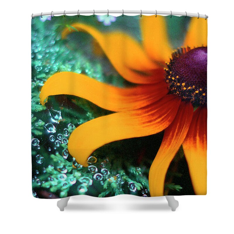Jigsaw Shower Curtain featuring the photograph Morning Jewels by Carole Gordon