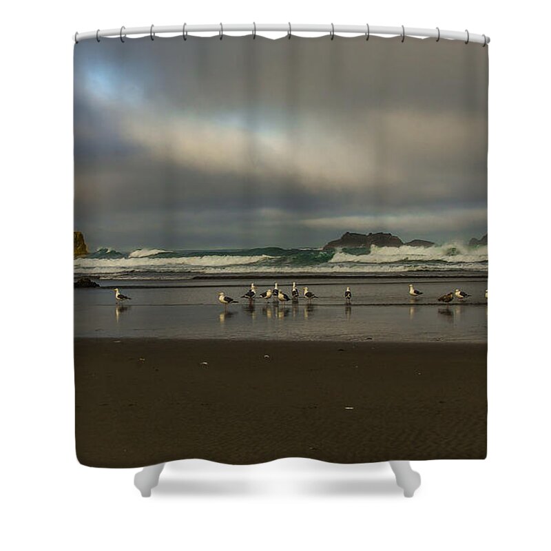 Bandon Or Shower Curtain featuring the photograph Morning light on the Beach by Ulrich Burkhalter