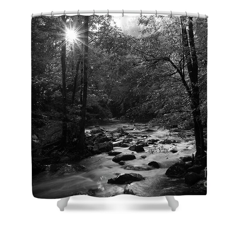River Shower Curtain featuring the photograph Morning Light On The Stream by Mike Eingle
