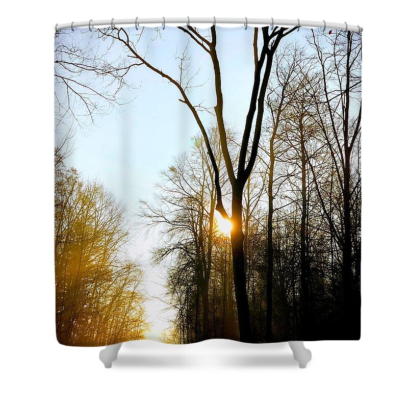 Tree Shower Curtain featuring the photograph Morning mood in the forest by Matthias Hauser