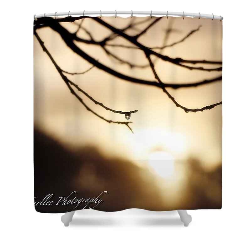 Morning Shower Curtain featuring the photograph Morning Rain by Elizabeth Harllee