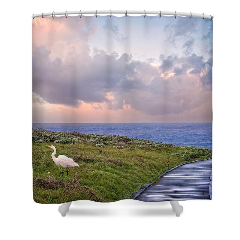 Sunrise Shower Curtain featuring the photograph Morning Run by Lynn Bauer