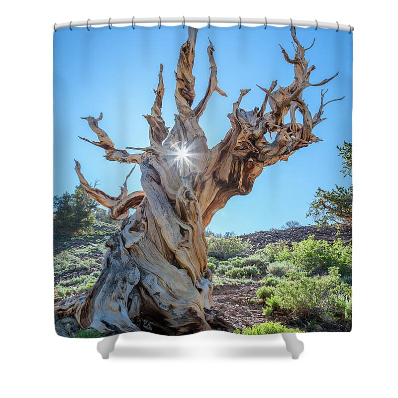 Ancient Shower Curtain featuring the photograph Morning salutation by Olivier Steiner