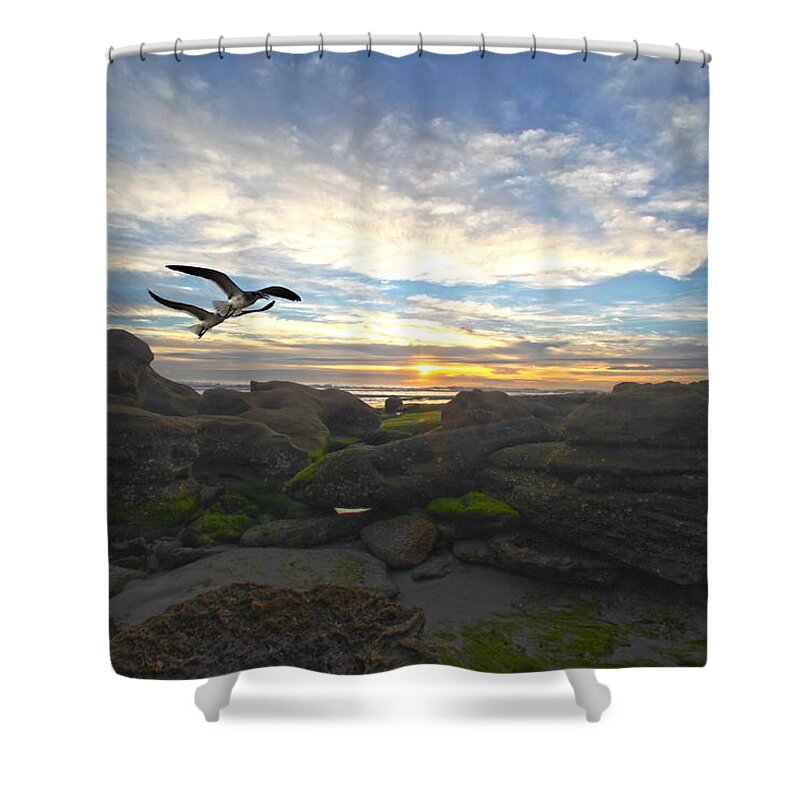 Star Shower Curtain featuring the photograph Morning Song by Robert Och