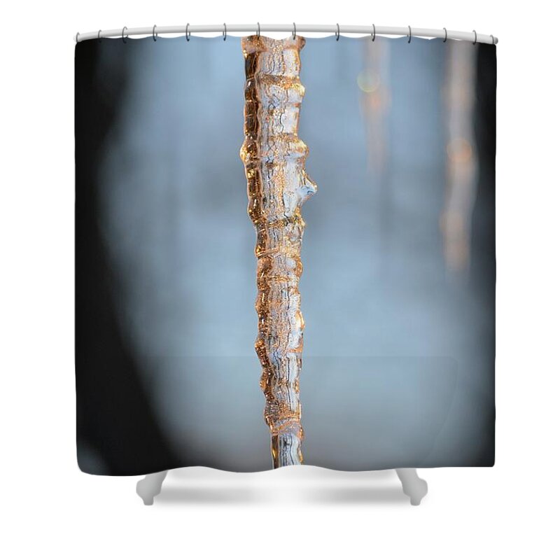 Sunset Shower Curtain featuring the photograph Morning Sparkle by Bonfire Photography