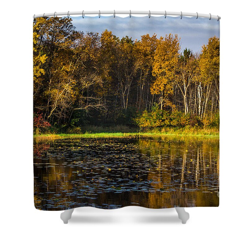 Pond Shower Curtain featuring the photograph Morning Sun by CJ Benson