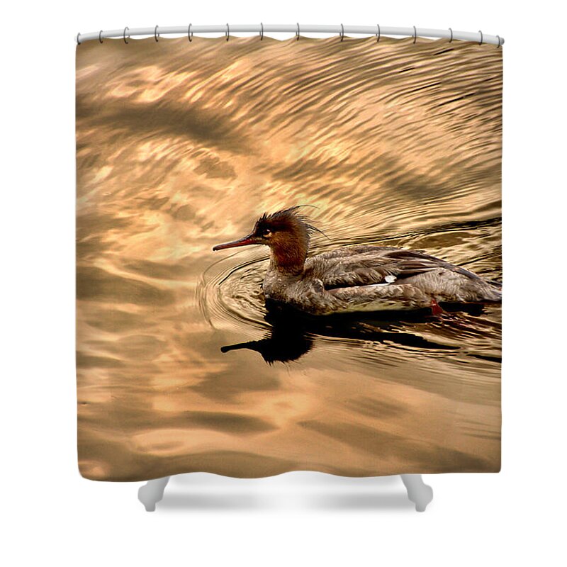 Red-breasted Merganser Shower Curtain featuring the photograph Morning Swim by David Yocum