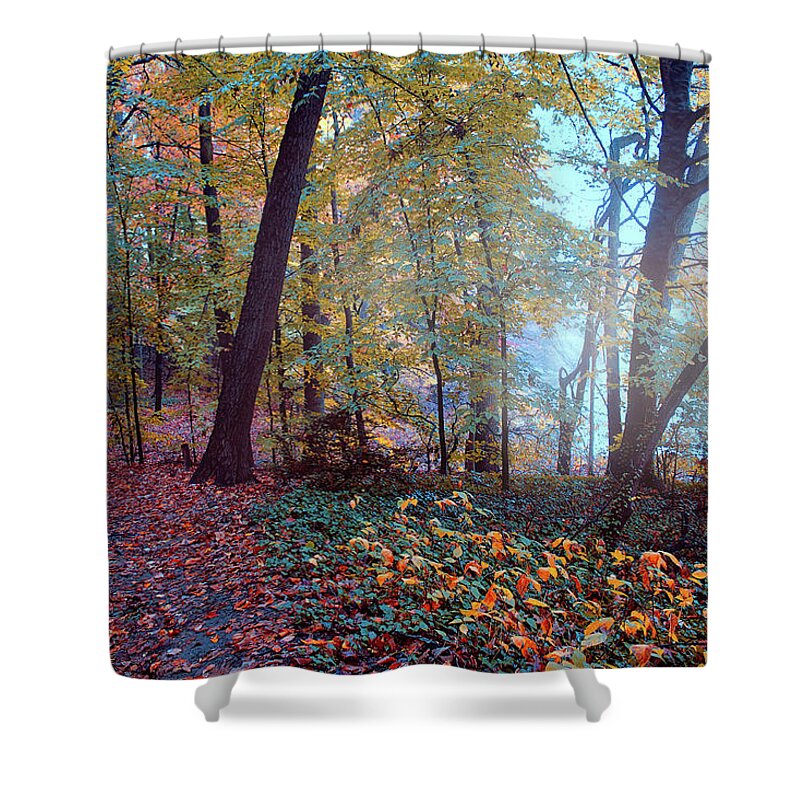 Morning Shower Curtain featuring the photograph Morning Walk by John Rivera