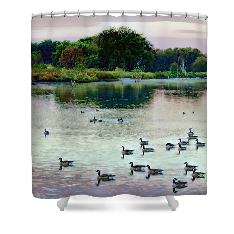 Canada Geese Shower Curtain featuring the photograph Mornings Shimmer by Elizabeth Winter