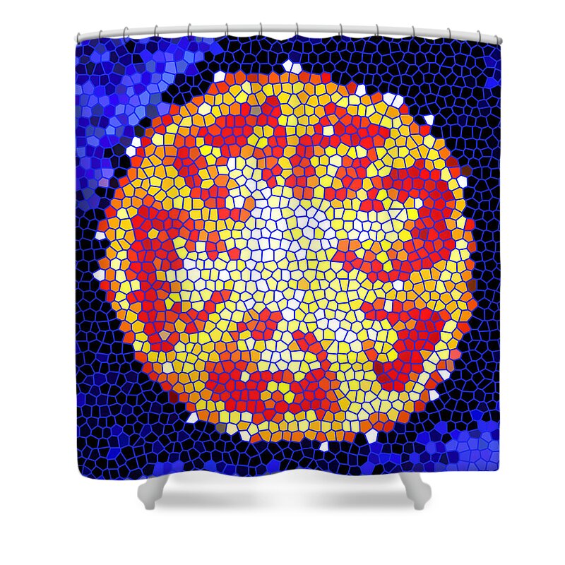 Tomato Shower Curtain featuring the photograph Mosaic Tomato by Nancy Mueller
