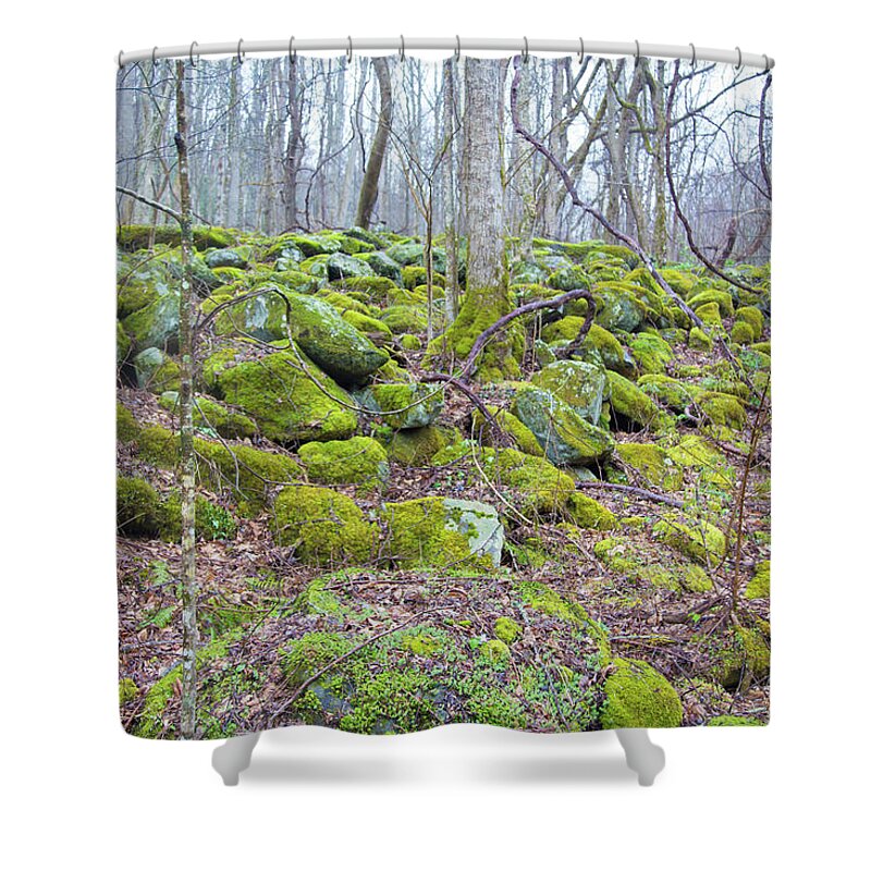 Rocks Shower Curtain featuring the photograph Moss - Gatlinburg by Lindsey Weimer
