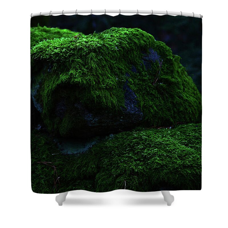 Sweden Shower Curtain featuring the pyrography Moss by Magnus Haellquist