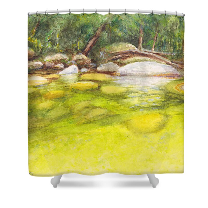River Shower Curtain featuring the painting Mossman River in the boulder-strewn Mossman Gorge in Far North Queensland by Dai Wynn
