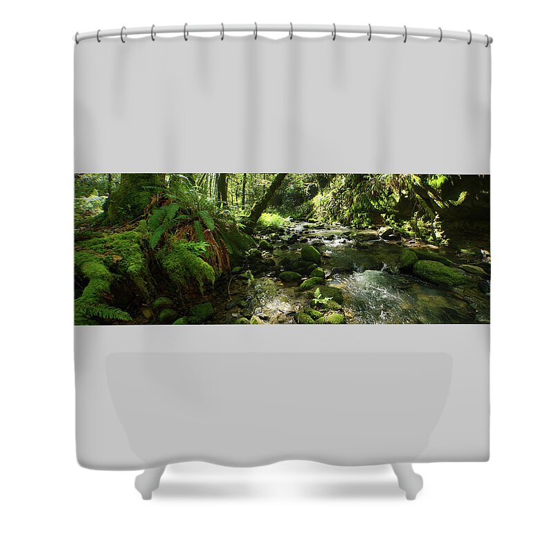 Adria Trail Shower Curtain featuring the photograph Mossy Banks by Adria Trail