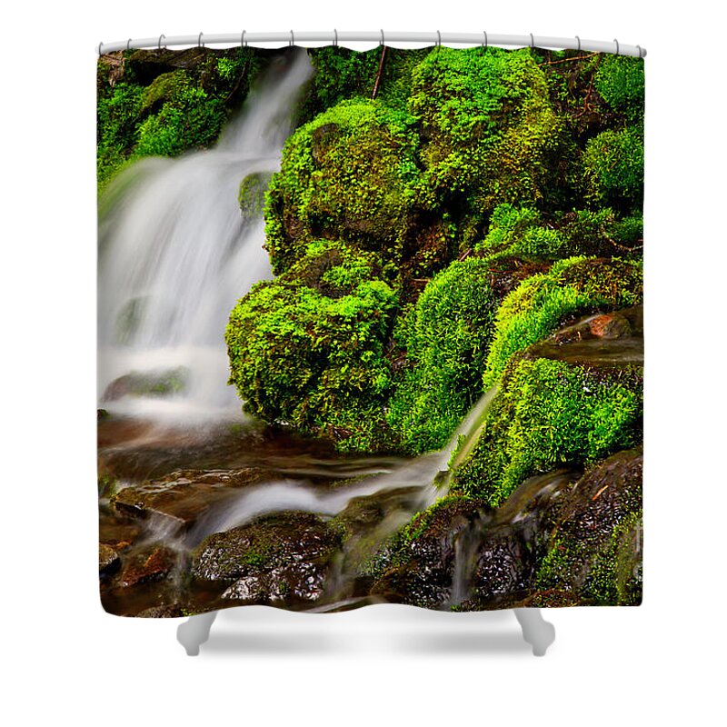 Stream Shower Curtain featuring the photograph Mossy rocks and spring rain runoff by Bruce Block